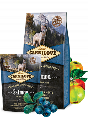 CL - Salmon for adult dogs 12 kg