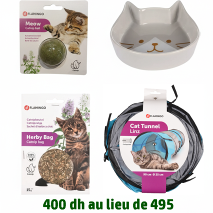 Pack Happy Active Cats