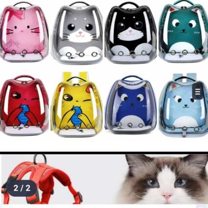 Sac de transport pour chat transparent.