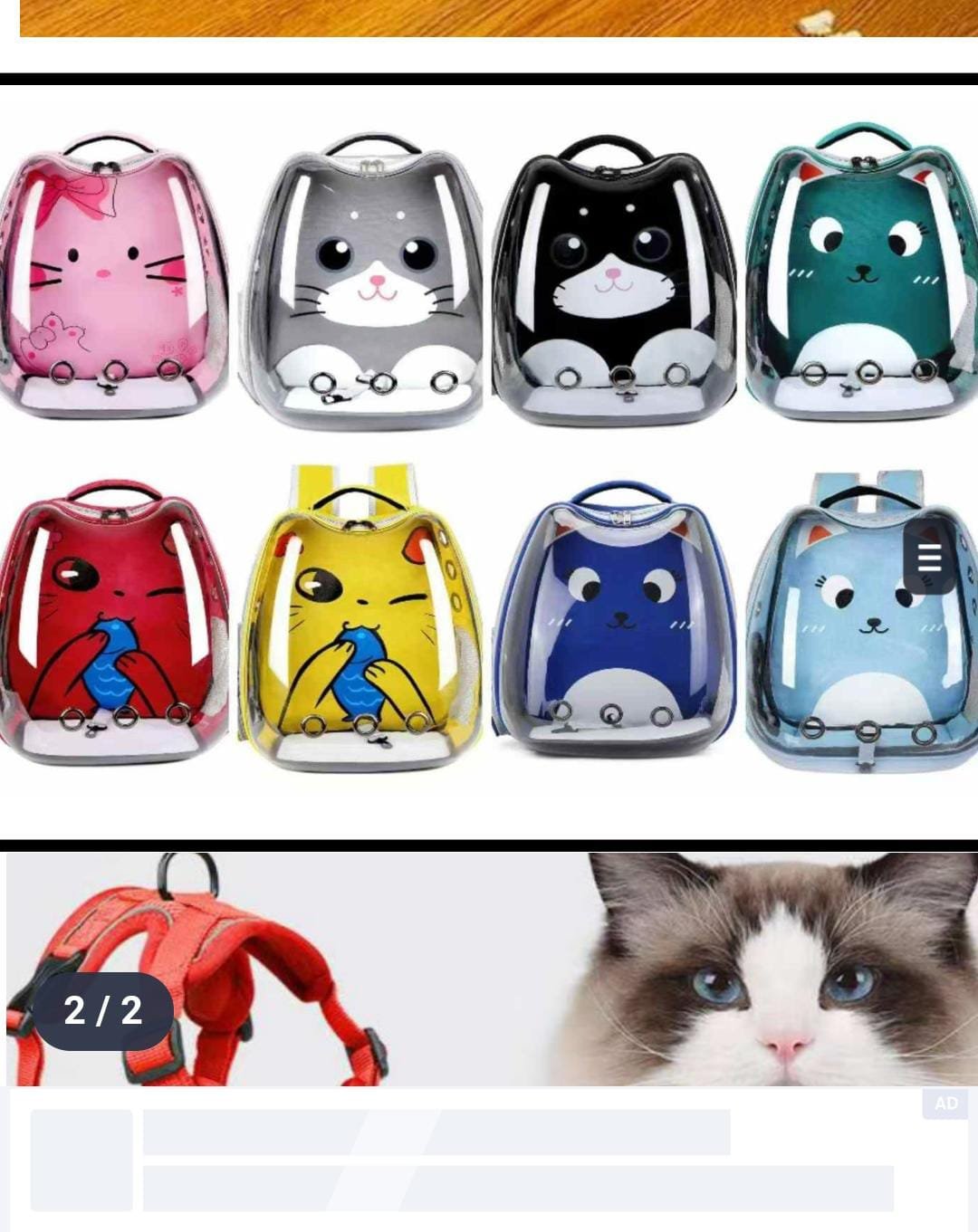 Sac de transport pour chat transparent.