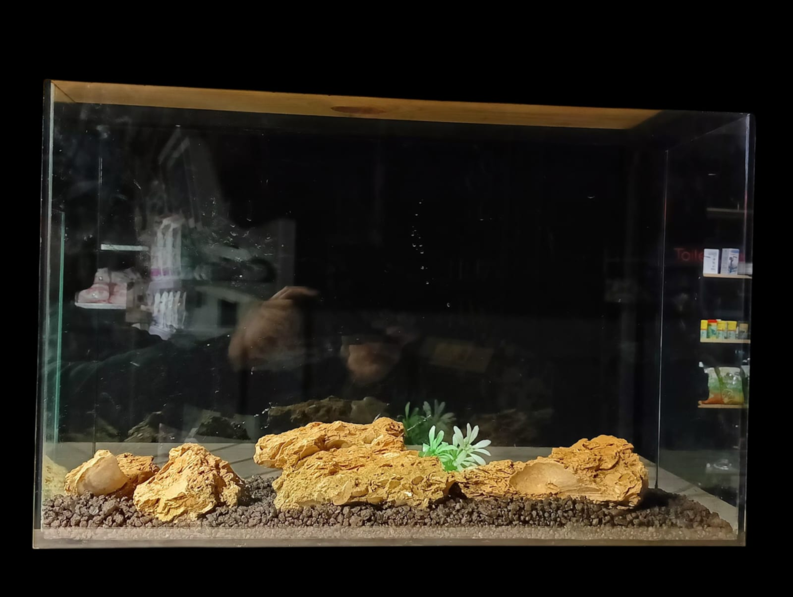Grand Aquarium en verre special 56cm x 20cm x 35cm