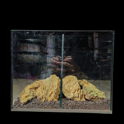 Aquarium moyen combattant avec verre special et decoration 30cm x 20cm x 24cm