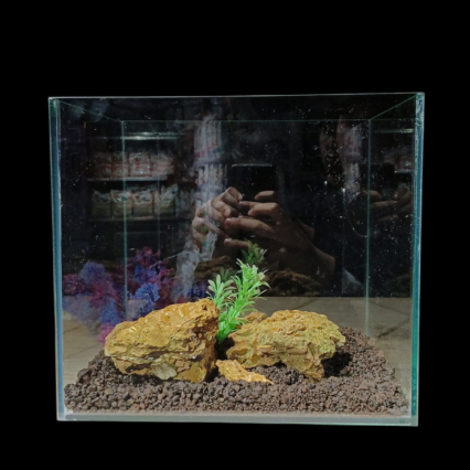 Moyen Aquarium en verre special 30cm x 26cm x 27cm