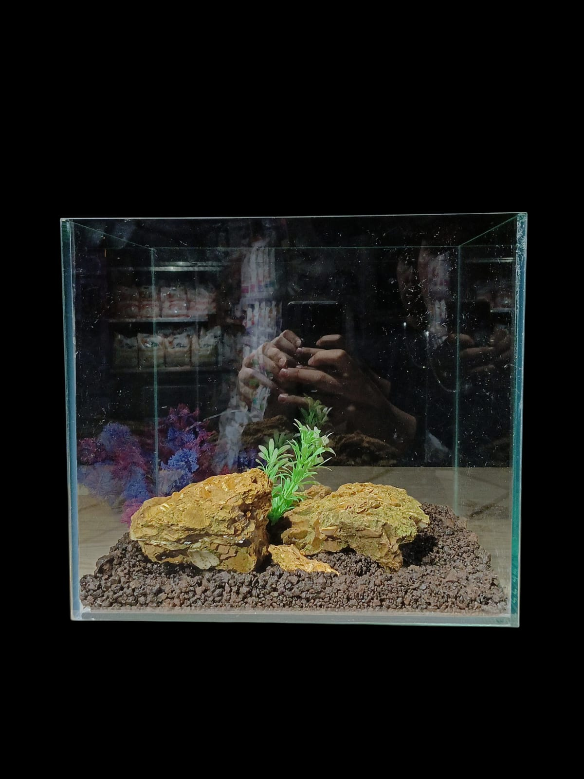 Moyen Aquarium en verre special 30cm x 26cm x 27cm