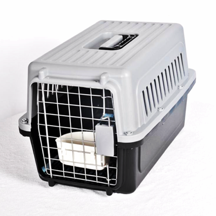 Cage de Transport pour Petit Chien et Chat taille M 58,7×37×34,8cm