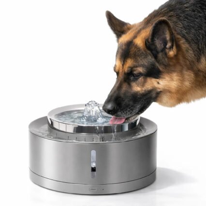 eziclean Fontaine a eau pour chien XL 8L